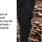 553-Gallery-5-allcolours